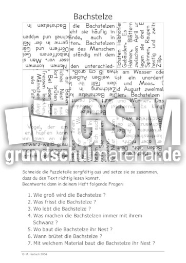 Bachstelze.pdf